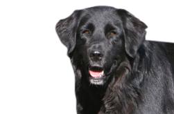 26.png