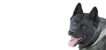 45.png