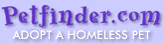 Pet Finder