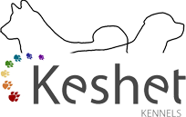 Keshet Kennels