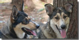 Skye and Cheyenne
