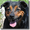 Xena