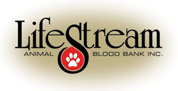 Life Stream