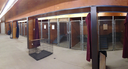 Keshet Kennels - Boarding / Daycare -Dog Kennels