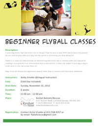 Keshet Kennels/Rescue | 5-INTRODUCTORY LEVEL FLYBALL CLASSES flyer.docx ...